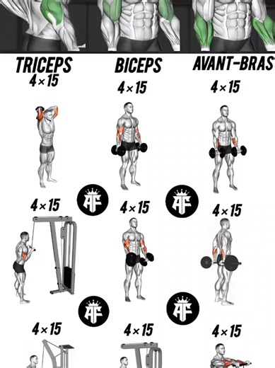 Séance d'entraînement pour biceps, triceps et avant-bras