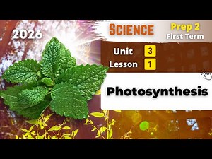 Prep.2 | Photosynthesis | Unit 3 - Lesson 1 | Science