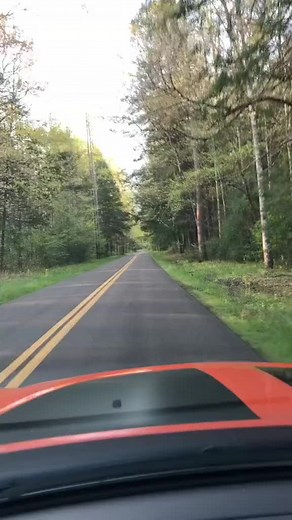 Know we’re not dating but… #quotes #dating | Mitch Mullins