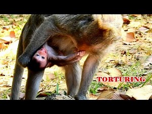 TEARS DROP DOWN!! MOM JADE IS TORTURING BABY JAYDEN TOO HARD | JAYDEN EXTREMELY CRIES