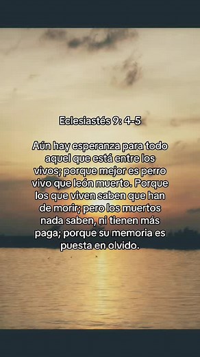 Eclesiastés 9:4-5 — Esperanza para los vivos, mejor perro vivo que león muerto