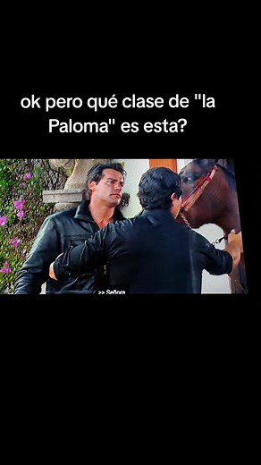 Amor Bravío: Escenas del Capítulo 100