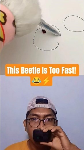 How Did It Suddenly Fly Away?! 😱🪲
