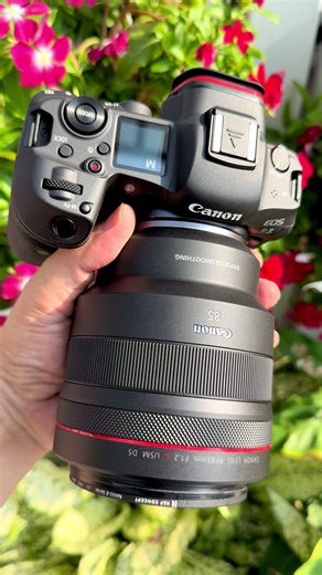 Canon R5 RF85f1.2 ds | canon