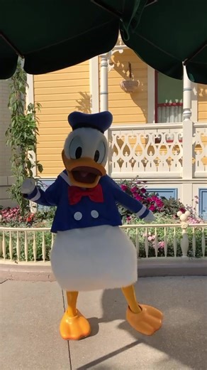 Donald #disneylandparis #disneyland #disney