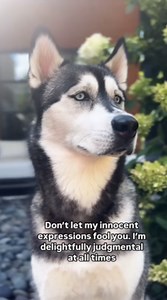 That look means I’m judging you