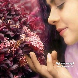 Who remembers the music video ' Mal Pan Podak ' 👇 | Bathiya and Santhush (BNS)