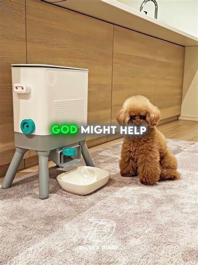 A Puppy Smarter Than The Snack Machine 🐶🍪