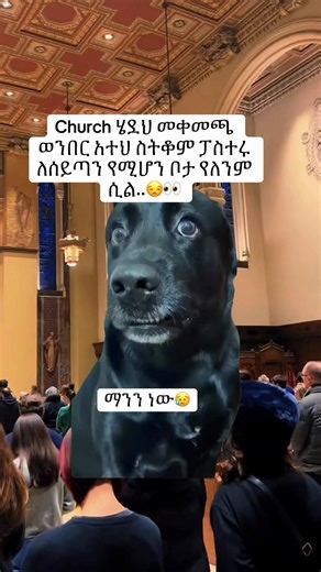 ‏#MemeCut #Meme #MemeCut