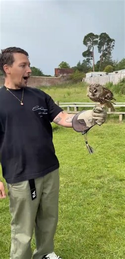My first pet owl experience
