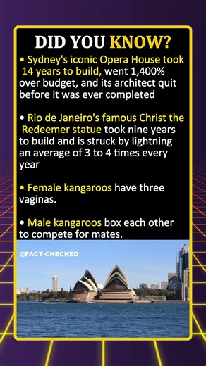 Did you know ,male kangaroos box each other to compete for mates?