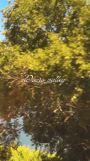 Douro Valley Train Journey Portugal: Scenic Douro Railway Tips