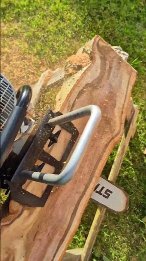 🌳🪚✨️Sawing a little Rowan tree slab with the chainsaw🌳🪚✨️ #woodworking #woodscraft #chainsaw #shorts