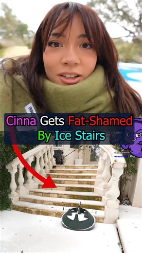 Cinna's Epic Winter Adventure on Ice Stairs