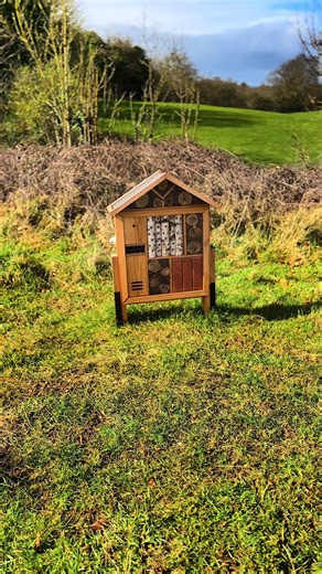 Exploring Ireland: A Unique Journey