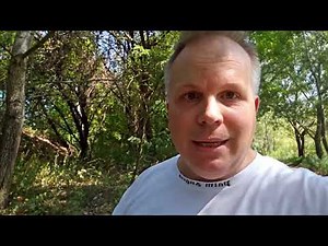 Die Virtuelle Espresso-Tasse Ungarns am 01.09.2024 am Angelsee