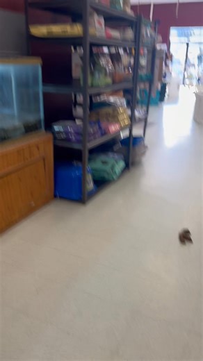 Critters & Co. Pet Center on Reels