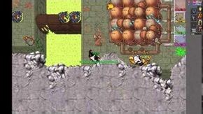 Tibia Latina Wikia Task communication en Rathleton