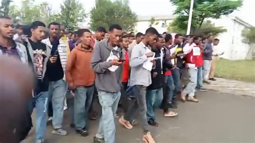 41K views · 2.9K reactions | Ambo University for Nono  | 퐃퐀퐀퐍퐈퐈 퐓퐎퐋퐀퐒퐀퐀 | Facebook