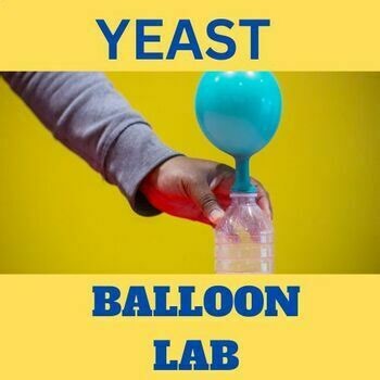 Cellular Respiration Labs Activity  Yeast Microbiology Grade 8