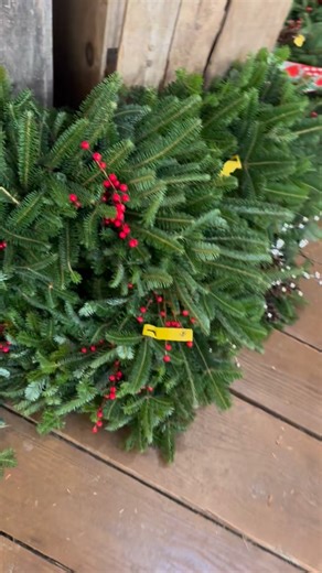 101 reactions · 11 shares | The beauty of the holidays are in full...