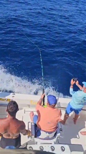 Spear Fishing Adventures: Catch 240KG Fish