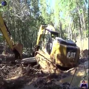 Excavator stuck in the swamp Cr: Latest Machines | Latest machines