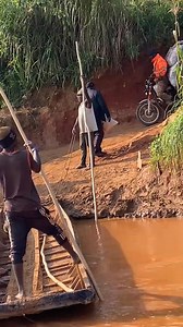 84K views · 1.9K reactions | La vie de l'homme, juste pour mettre la famille à l'abri. Je n'ai aucun droit sur la musique jouer dans la vidéo. | Thalès Le Vertueux | Facebook