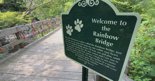 Deerfield’s Rainbow Bridge Under Scrutiny