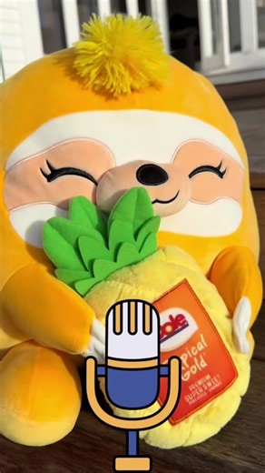 Sandy's ASMR Snackles Plush Toys Unboxing