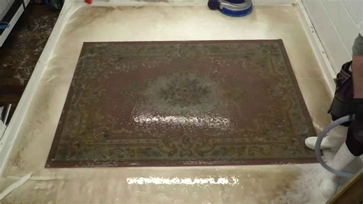 Rug deep clean in just 5 minutes