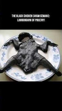 Ayam Cemani: Lamborghini of poultry! #ayamcemani #chicken #facts #animals