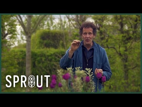 Spring Garden Tips - Growing Alpines, Erythroniums, and New Hedges