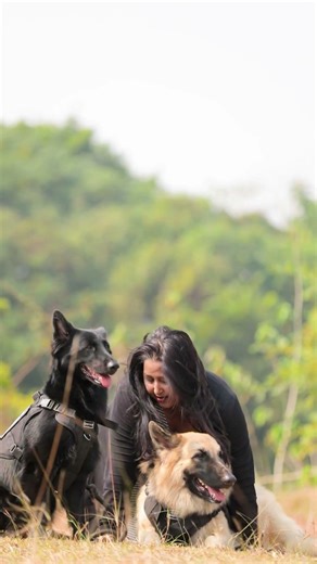Cute Fur Baby | #shorts #camerababa #gsd #dog