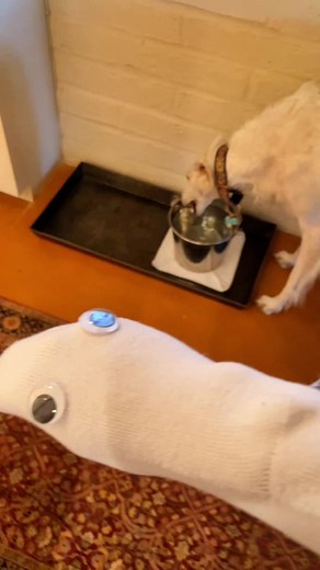 MyLittleRussianLady on TikTok