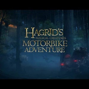 Join Hagrid as you enter the Forbidden Forest and encounter the rarest of magical creatures on this epic new addition to The Wizarding World of Harry Potter. | Universal Orlando Resort