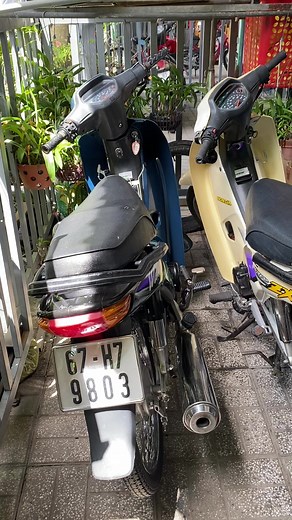 Review xe cỏ Long Xuyên | Wave Trung HOA | Xe vàng chân sạch sẽ | Mỹ Thới, An Giang