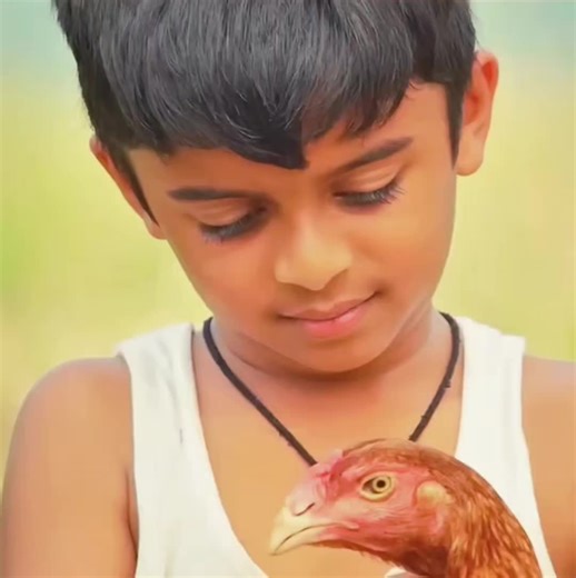 #tiktokrundowncontest #filmbreaker #moviereview #usmovies | Movie Reviews