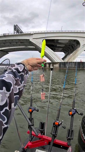 Stephen Fultz on Instagram: "Using spam for bait to catch fish 🎣"