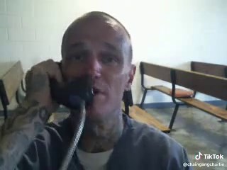 Understanding Sentences and Clauses in English