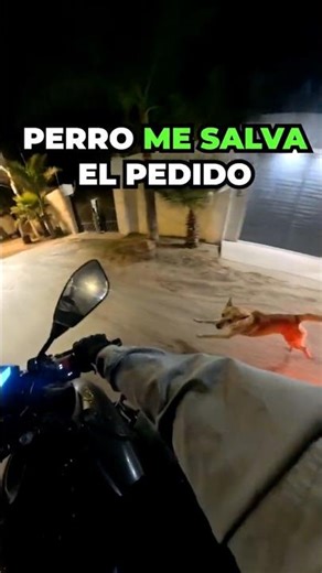 HEROE SIN CAPA 🐕🔥 #motovlog #viral