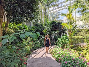 DIY Butterfly Houses: Eight Tips for Success