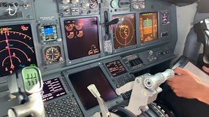 Watch the shocking 2020 incident where police fired on a passenger jet