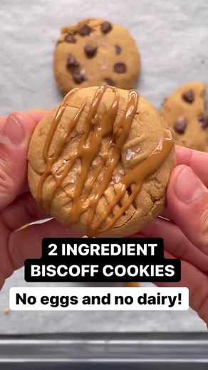 Delicious 2 Ingredient Biscoff Cookies Recipe