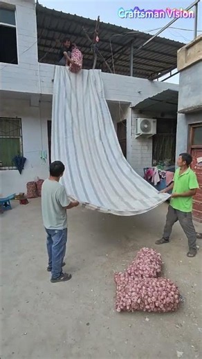A practical method to move garlic down from rooftops without causing any damage