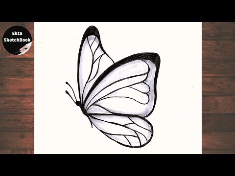 How to Draw a Butterfly | Easy Pencil Sketch Tutorial for Beginners