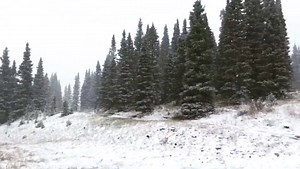 92K views · 2K reactions | Live from the mountain: SNOW!!! We're...