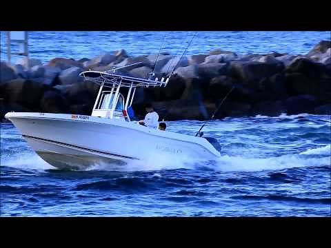 Robalo R200