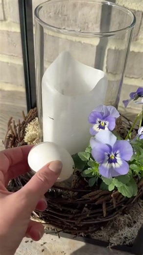 Dann kam ein kleiner Frühling, die wunderschönen Laternen🕯️ #short #gavinefaster