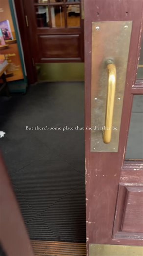 Barnes and Noble is the place to be!! Once I read 4 books on my physical TBR I can go back. I miss you Barnes 😭😭 #barnesandnoble #BookTok #bookshopping #tbrtakedown #Barnes